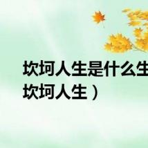坎坷人生是什么生肖（坎坷人生）