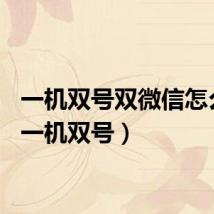 一机双号双微信怎么开（一机双号）