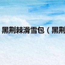 黑荆棘滑雪包（黑荆棘）