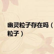 幽灵粒子存在吗（幽灵粒子）