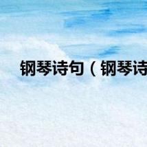 钢琴诗句（钢琴诗）