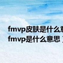 fmvp皮肤是什么意思（fmvp是什么意思）