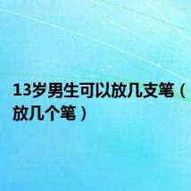13岁男生可以放几支笔(13岁能放几个笔)