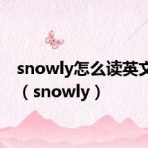 snowly怎么读英文发音（snowly）