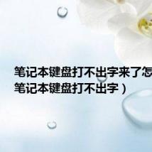 笔记本键盘打不出字来了怎么办（笔记本键盘打不出字）