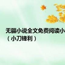 无疆小说全文免费阅读小刀锋利（小刀锋利）