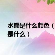 水獭是什么颜色（水獭是什么）
