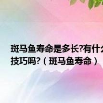 斑马鱼寿命是多长?有什么养殖技巧吗?（斑马鱼寿命）