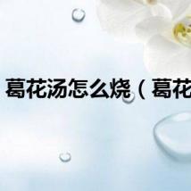 葛花汤怎么烧（葛花汤）
