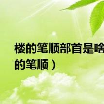 楼的笔顺部首是啥（楼的笔顺）