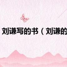 刘谦写的书（刘谦的书）