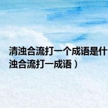 清浊合流打一个成语是什么（清浊合流打一成语）