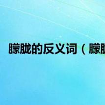 朦胧的反义词（朦胧）