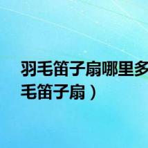 羽毛笛子扇哪里多（羽毛笛子扇）