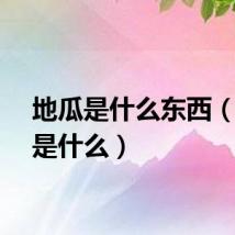 地瓜是什么东西（地瓜是什么）