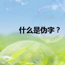 什么是伪字？