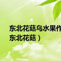 东北花菇鸟水果作用（东北花菇）