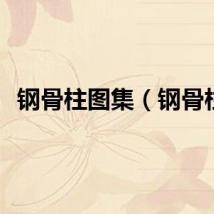 钢骨柱图集（钢骨柱）