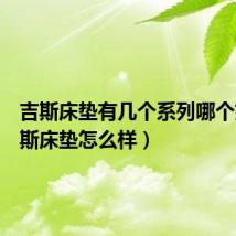 吉斯床垫有几个系列哪个好(吉斯床垫怎么样)