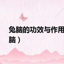 兔脑的功效与作用（兔脑）