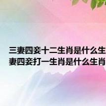 三妻四妾十二生肖是什么生肖(三妻四妾打一生肖是什么生肖)