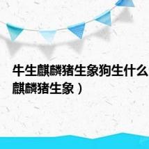 牛生麒麟猪生象狗生什么(牛生麒麟猪生象)