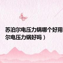 苏泊尔电压力锅哪个好用(苏泊尔电压力锅好吗)