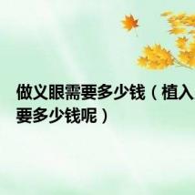 做义眼需要多少钱(植入义眼需要多少钱呢)