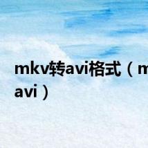 mkv转avi格式(mkv转avi)