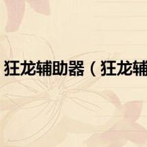 狂龙辅助器（狂龙辅助）