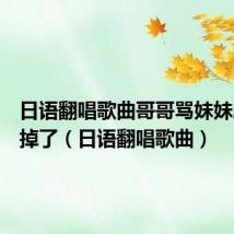 日语翻唱歌曲哥哥骂妹妹脑子坏掉了（日语翻唱歌曲）