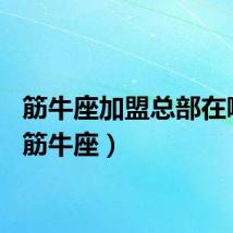 筋牛座加盟总部在哪里（筋牛座）