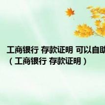 工商银行 存款证明 可以自助打印吗（工商银行 存款证明）