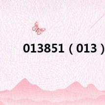 013851(013)