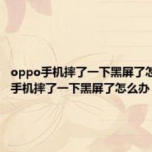oppo手机摔了一下黑屏了怎么办(手机摔了一下黑屏了怎么办)