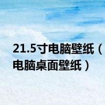 21.5寸电脑壁纸（21寸电脑桌面壁纸）