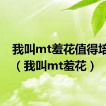 我叫mt羞花值得培养吗（我叫mt羞花）