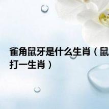 雀角鼠牙是什么生肖(鼠牙雀角打一生肖)