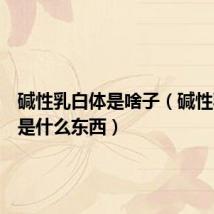碱性乳白体是啥子(碱性乳白体是什么东西)