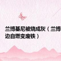 兰博基尼被烧成灰（兰博基尼路边自燃变废铁）