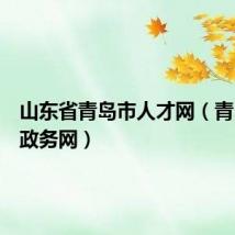 山东省青岛市人才网(青岛人才政务网)