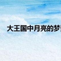 大王国中月亮的梦影