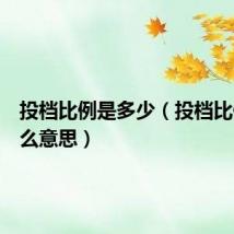 投档比例是多少（投档比例是什么意思）