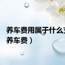 养车费用属于什么支出（养车费）