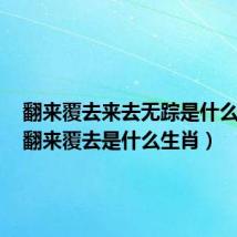 翻来覆去来去无踪是什么生肖（翻来覆去是什么生肖）