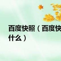 百度快照（百度快照是什么）