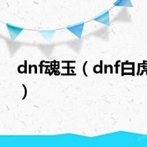 dnf魂玉（dnf白虎之魂）
