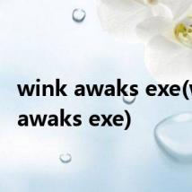 wink awaks exe(wink awaks exe)