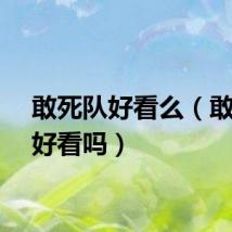 敢死队好看么(敢死队好看吗)