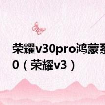 荣耀v30pro鸿蒙系统3.0(荣耀v3)